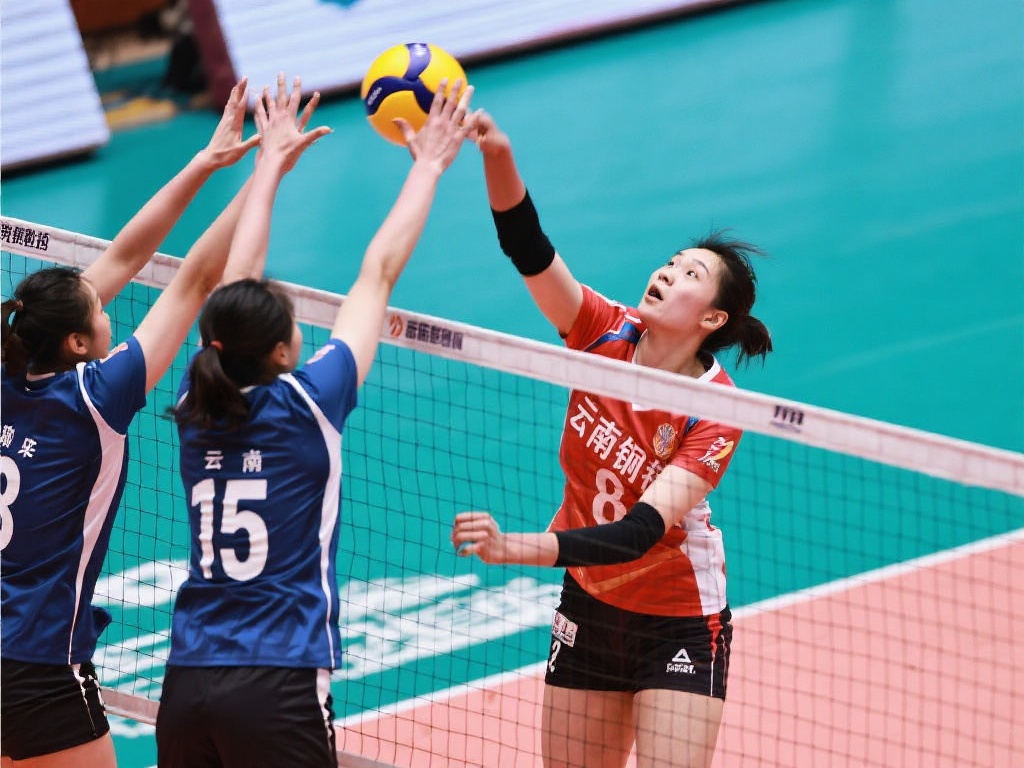 不仅展现了 不仅展现了