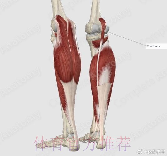 马卡:贝林受伤部位很少见 10%的人甚至没这肌肉